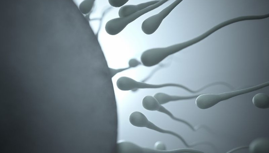 Tekrarlayan düşüklerin nedeni hasarlı spermler olabilir mi