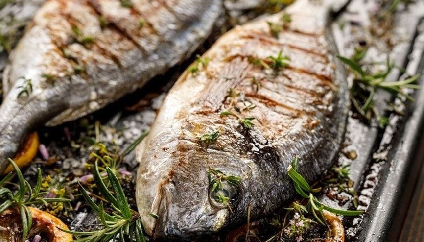 Çiftlik balığının faydaları bilimsel çalışmalarla ortaya kondu