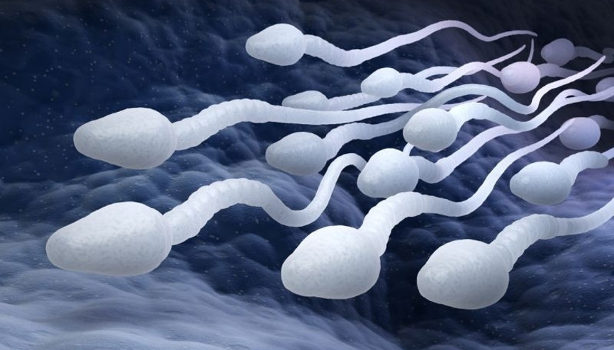 Sperm sayısı neden düşer