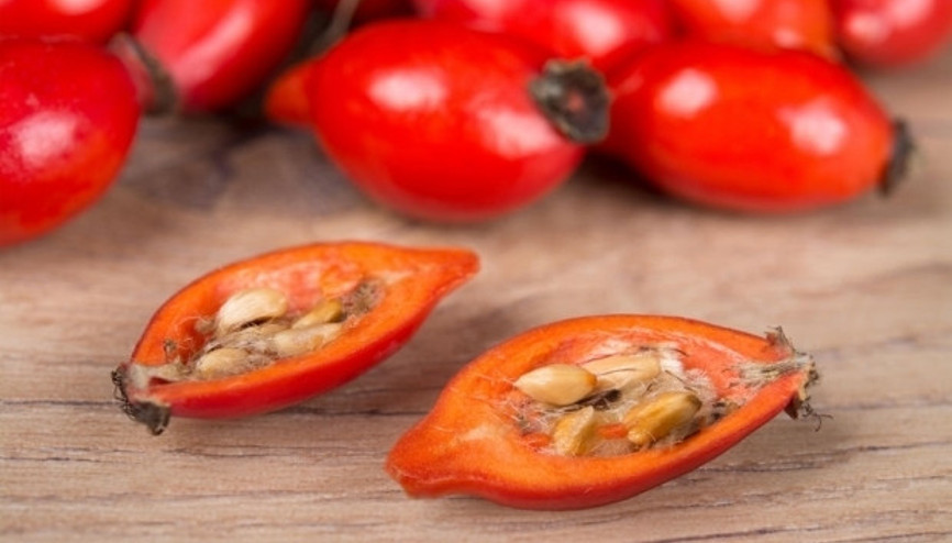 C vitamini deposu: Kuşburnu