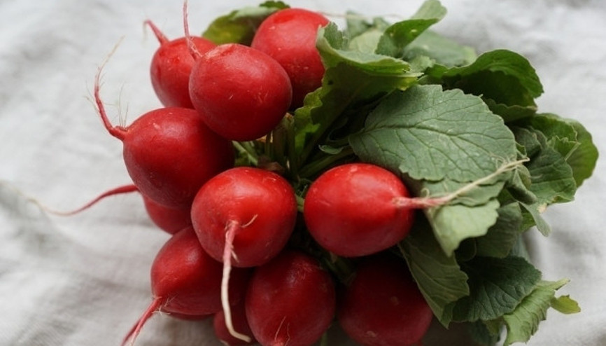 Vitamin-mineral kaynağı Sağlık deposu turpun 10 faydası