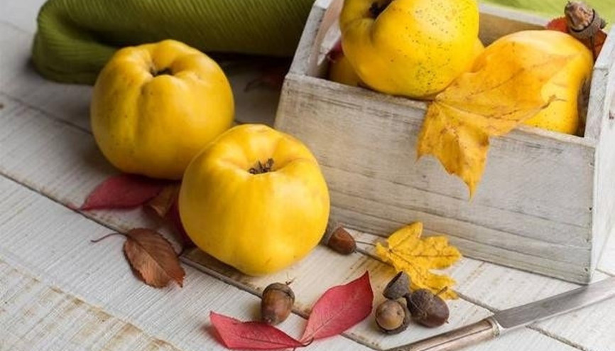 Şifa deposu ayvanın muazzam faydaları