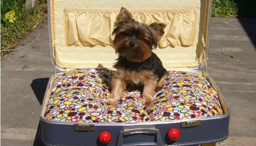 Eski bir bavul ile yapabileceğiniz 18 şey