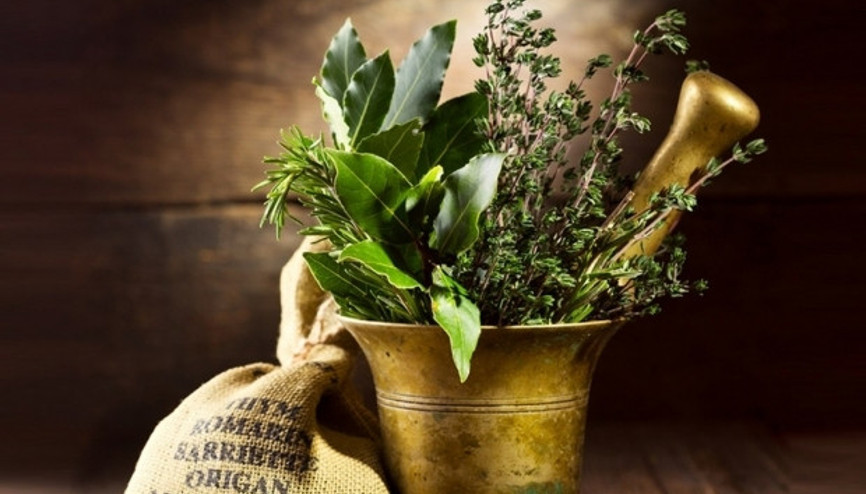 Vücuda şifa damağa sefa otlar