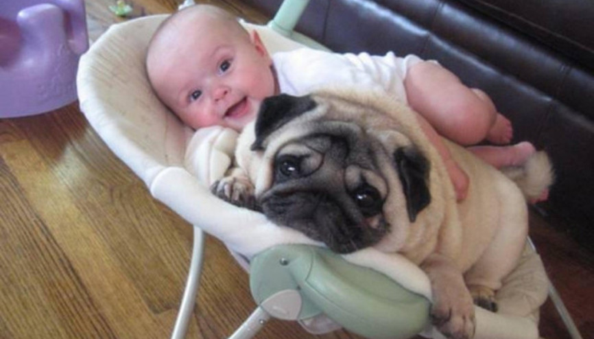 Çocukların en iyi dostunun hayvanlar olduğunu ortaya koyan fotoğraflar