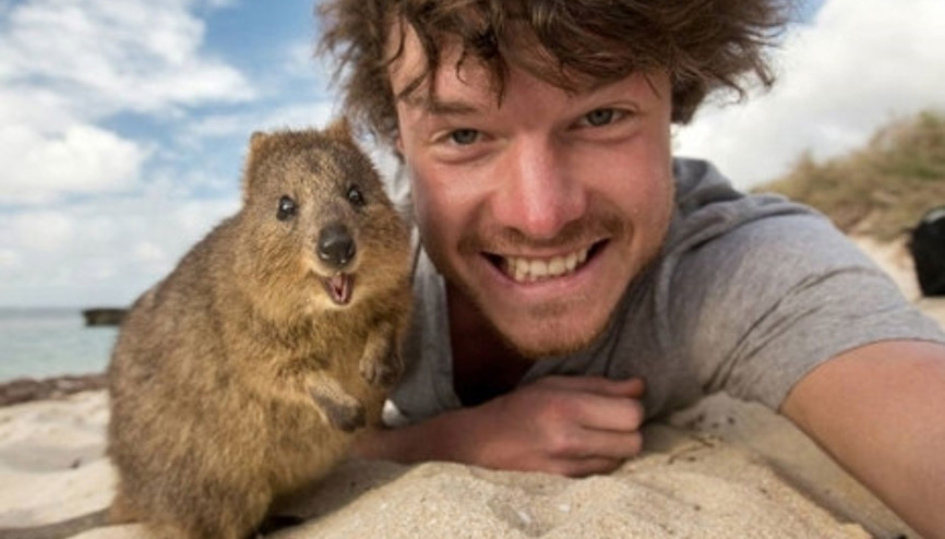 Hayvanlarla çektiği selfieler büyük ilgi görüyor