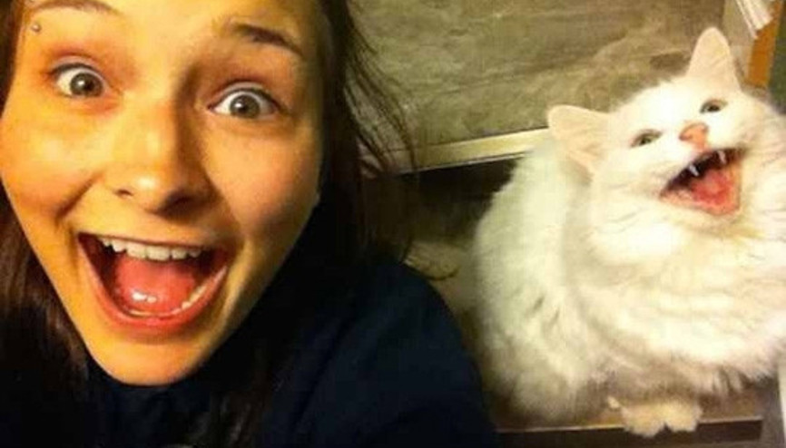 Sahiplerine benzeyen 25 sevimli hayvan