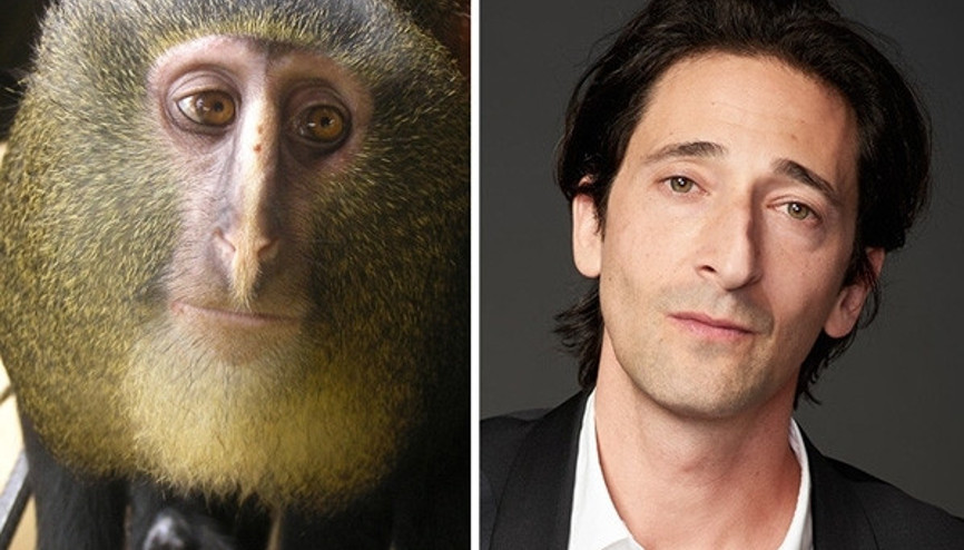 Hayvanlara ilginç benzerlik gösteren 20 ünlü