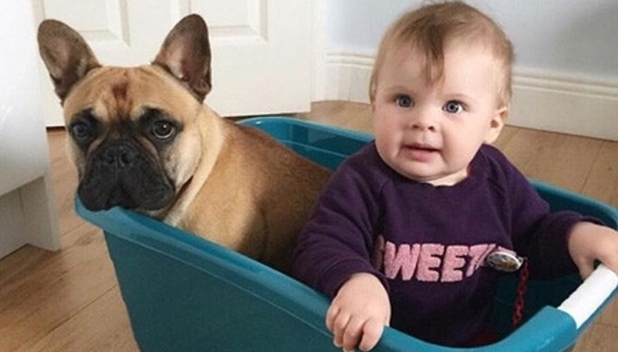 Görünce hayran kalacağınız bebek-köpek dostluğu fotoğrafları