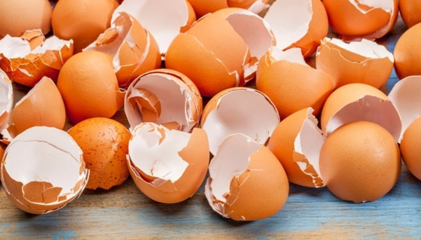 Yumurta kabuğunun mucize faydaları
