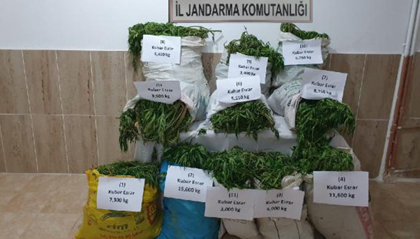 Tarlalara kenevir eken şüpheli, fotokapan sayesinde yakalandı
