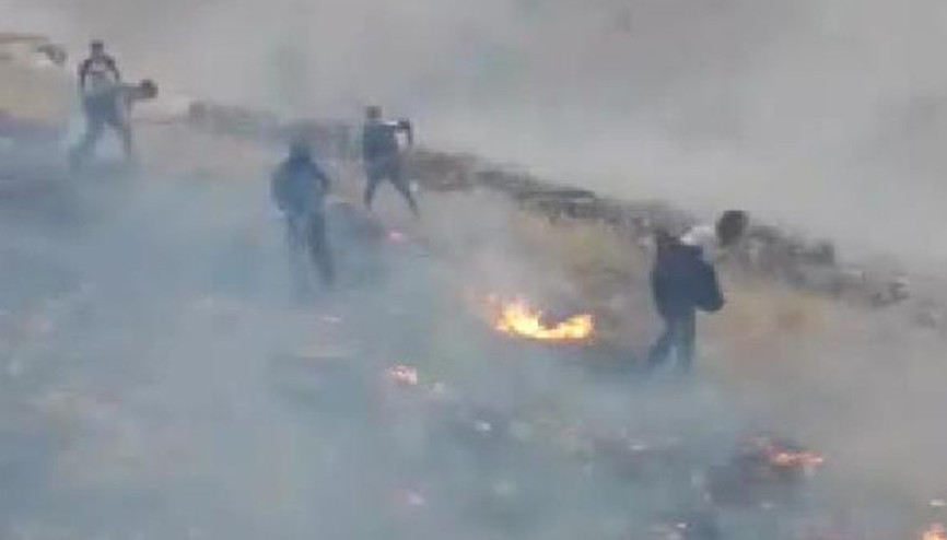 Gercüşte yıldırım yangına neden oldu; 2 hektarlık alan zarar gördü