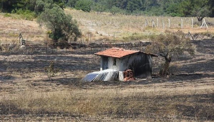 Urlada yanan ormanlık alanla ilgili 1 gözaltı