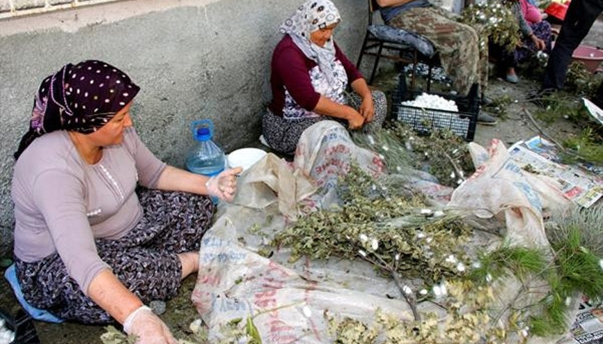 Gözümüz gibi bakıyoruz