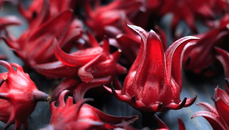 Kötü kolesterolü düşürüyor, iyi kolesterolü artırıyor Öyle faydaları var ki... Kötü kolesterolü düşürüyor, iyi kolesterolü artırıyor Öyle faydaları var ki...