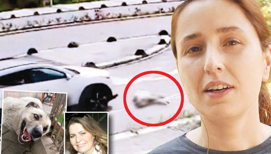 Son dakika haberi: Max’in ‘annesi’ konuştu: Ceza almasını istiyorum