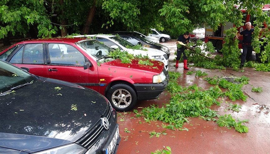 Ağaç, park halindeki otomobillerin üzerine devrildi