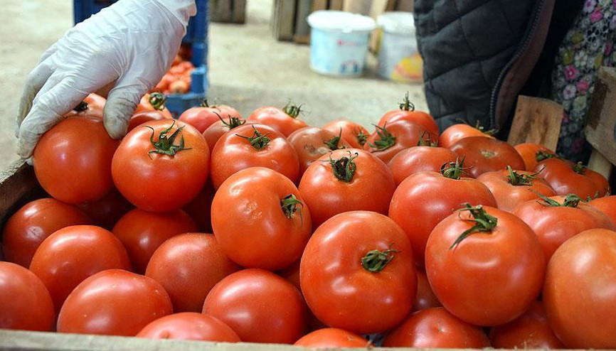 Domates salçasında ihracat 3 kat arttı
