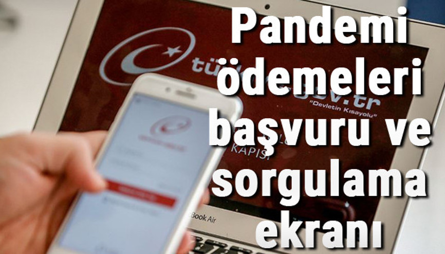3. faz Pandemi ödemelerinde son durum nedir 1000 TL sosyal yardım ödemeleri başvuru ve sorgulama ekranı