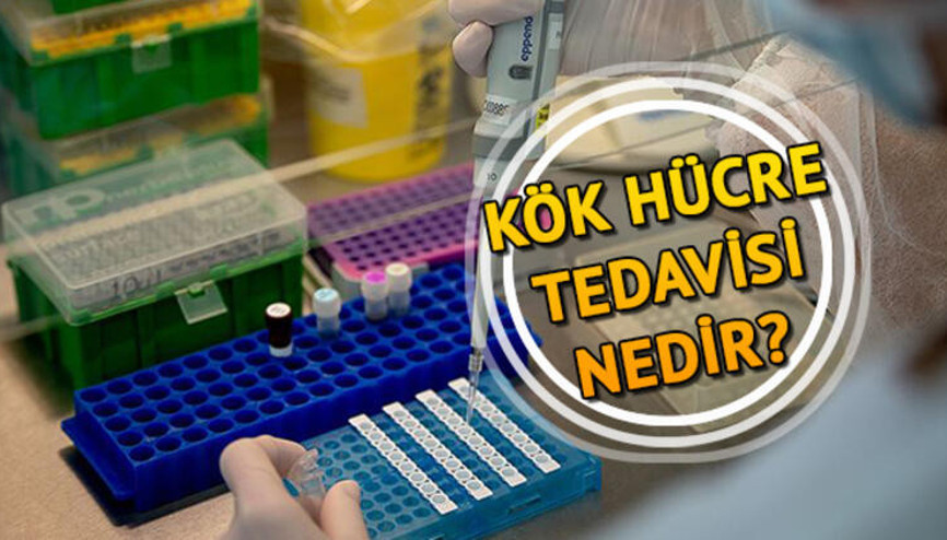 Kök hücre nedir Kök hücre tedavisiyle ilgili bilgiler