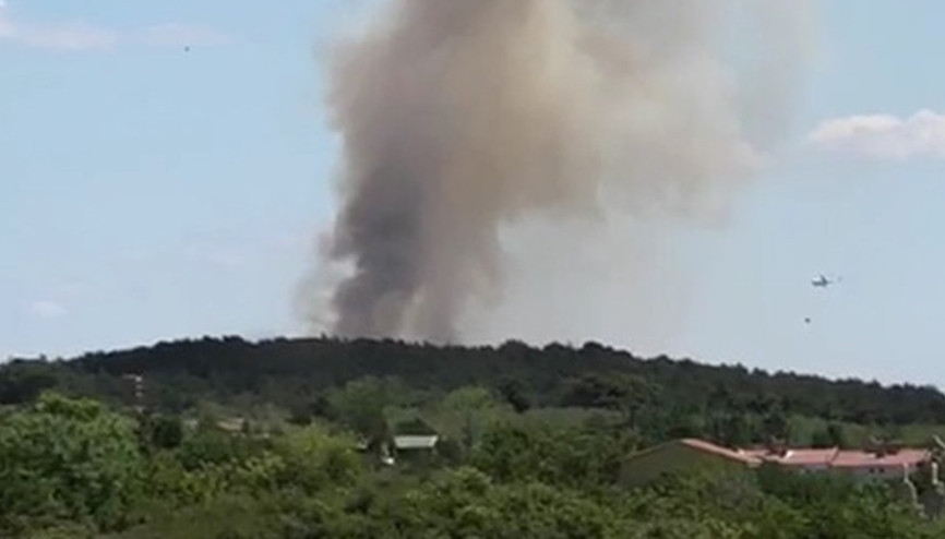 Son dakika haberi: Saros Körfezinde orman yangını