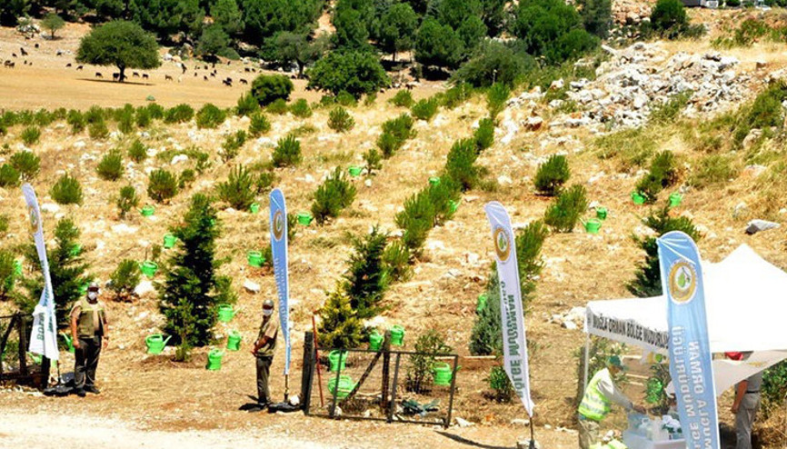 Muğlada şehitler anısına fidan dikildi