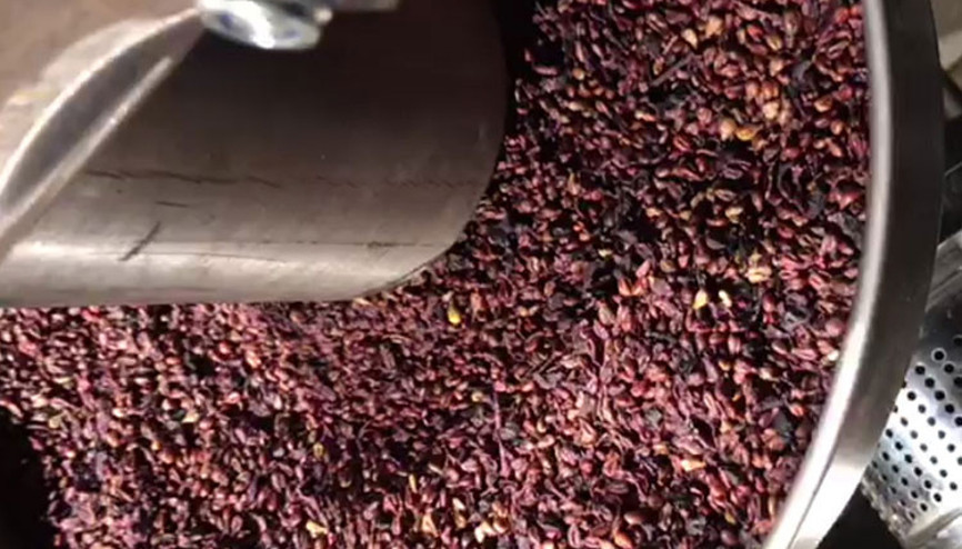 700 tondan sadece 500 litre yağ çıkıyor…E vitamini deposu üzüm yağının litresi 640 liradan satılıyor…
