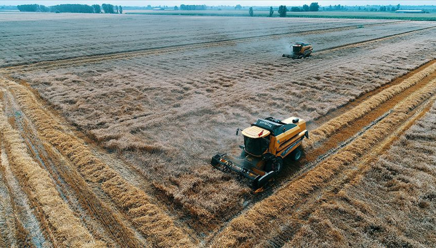 BMden Batı ve Orta Afrikaya gıda krizi uyarısı