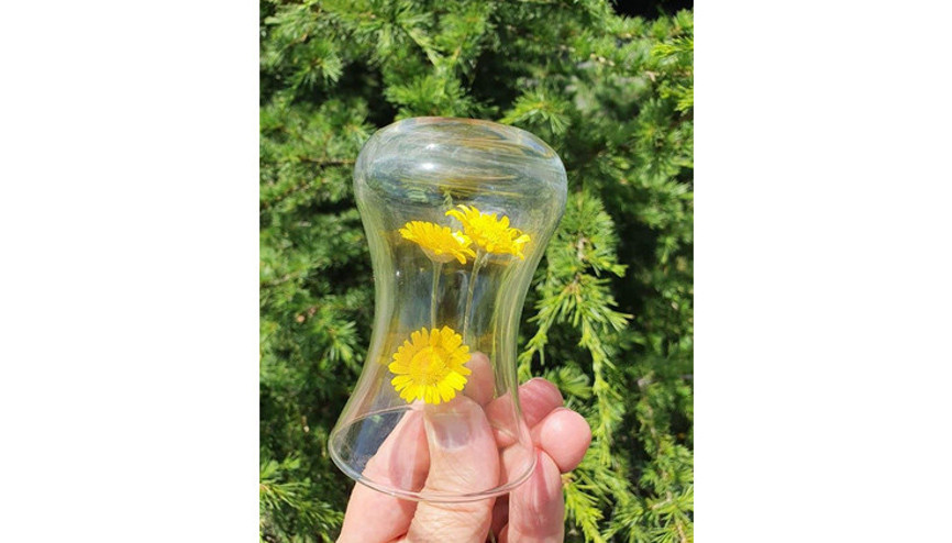 Ziya öğretmen ‘yoklama alıyor’ Ziya öğretmen ‘yoklama alıyor’