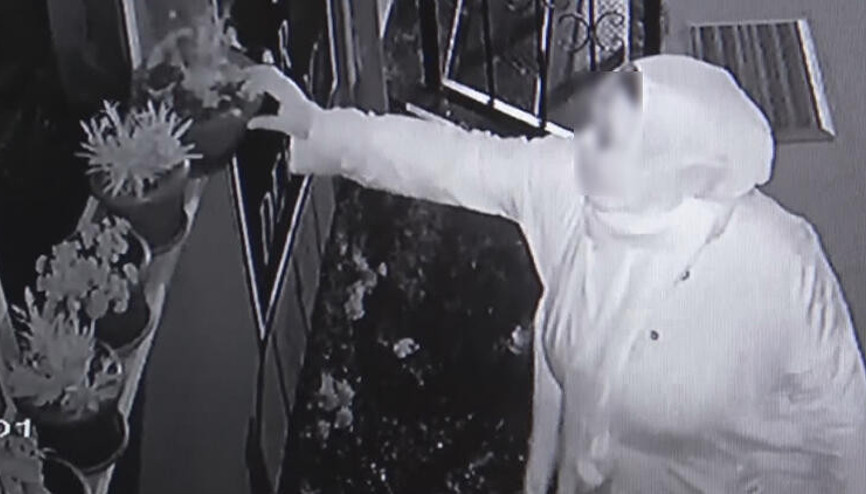 Çocukların gözü önünde saksıdaki çiçeği çaldı