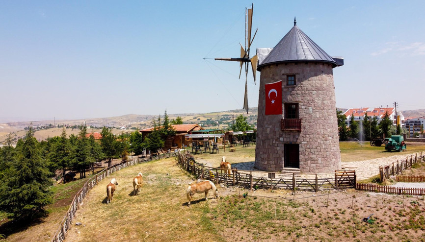 Faytondan özgürlüğe