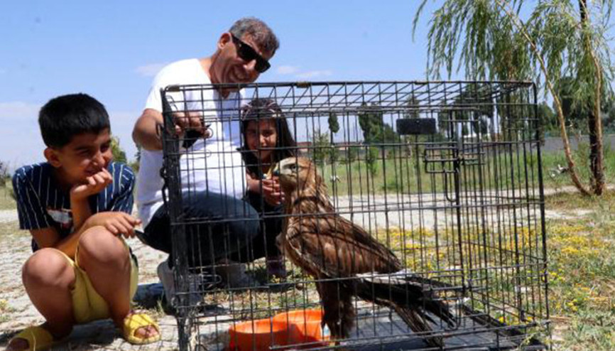 Türkiyede ilk kez tek seferde 20 yabani hayvan doğaya salındı