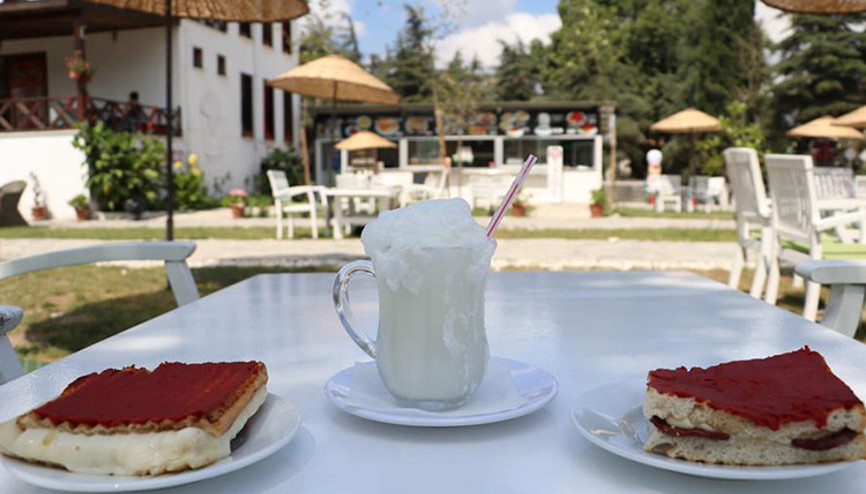 Bu ikili yolculara mola verdiriyor