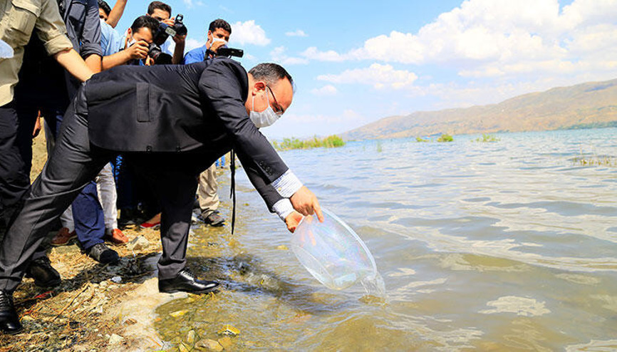 Hazar Gölüne 420 bin yavru siraz balığı bırakıldı