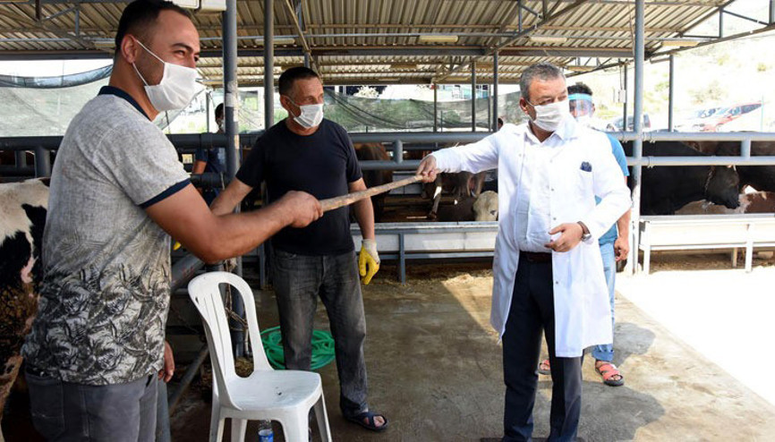 İzmirde kurban pazarı denetiminde sopayla kurban pazarlığı