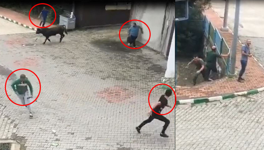 Önüne kim çıktıysa arkasına bakmadan kaçtı Şoke eden anlar... Önüne kim çıktıysa arkasına bakmadan kaçtı Şoke eden anlar...