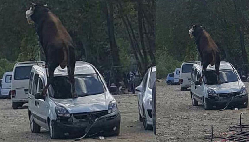 Görüntüler Samsundan geldi Akılalmaz anlar...