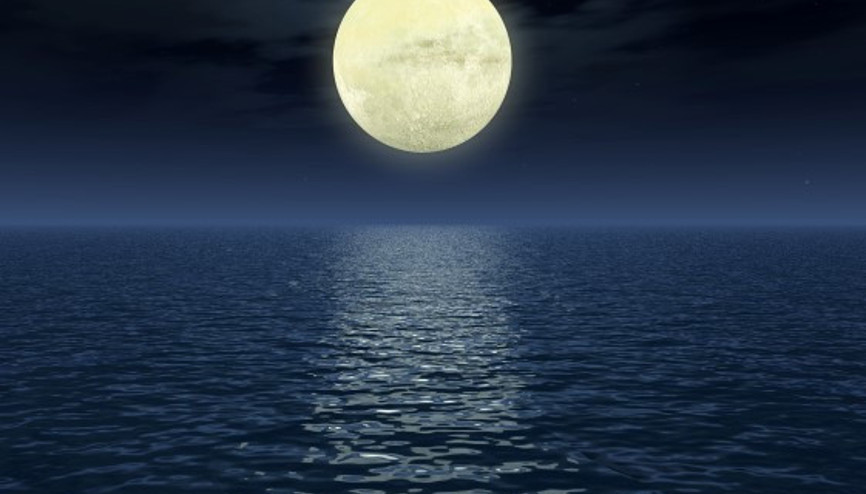 Kova Dolunayı Sessizlik En Asil İsyandır