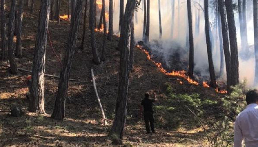 Soğuksu Milli Parkında orman yangını