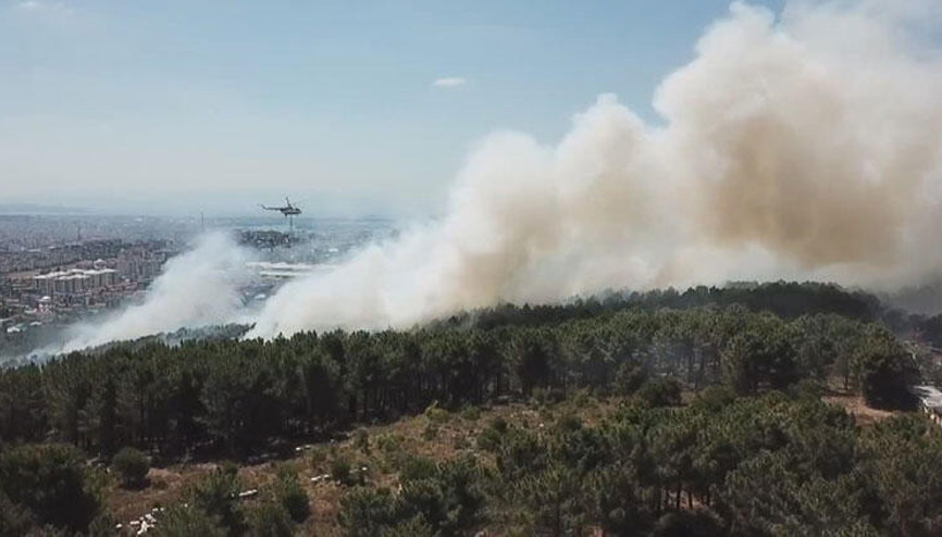 Son dakika haberler... Kartal Aydosta ormanlık alanda yangın