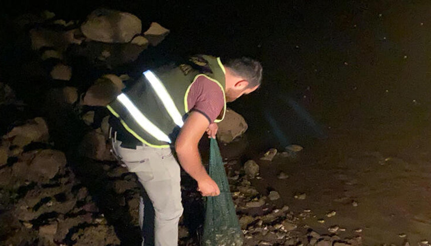 Şırnakta kaçak kurbağa avına 737 bin lira ceza