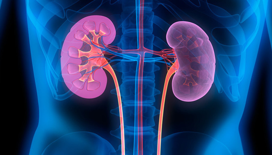 Koronavirüs sürecinde periton diyalizi böbrek hastalarına umut veriyor