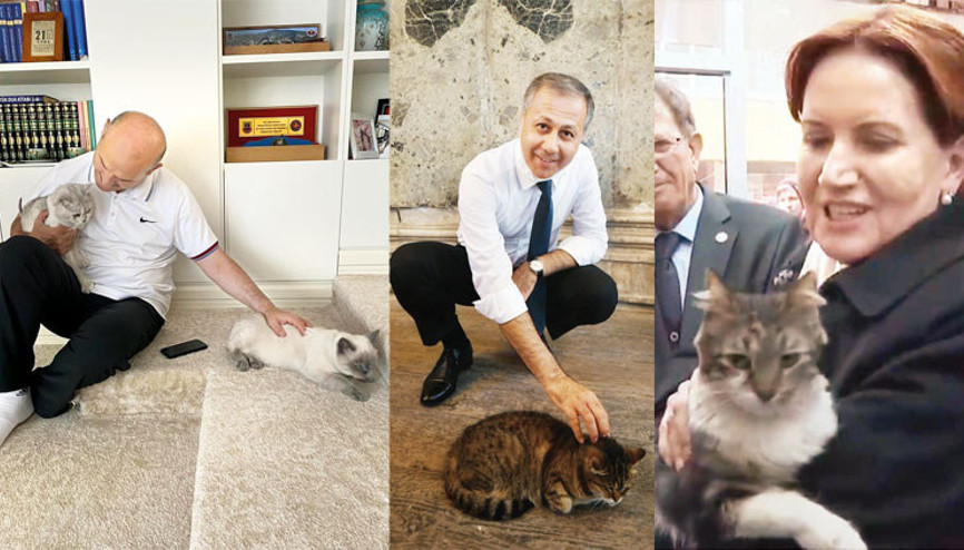 Dünya Kediler Gününde siyasiler de can dostlarını kutladı Dünya Kediler Gününde siyasiler de can dostlarını kutladı
