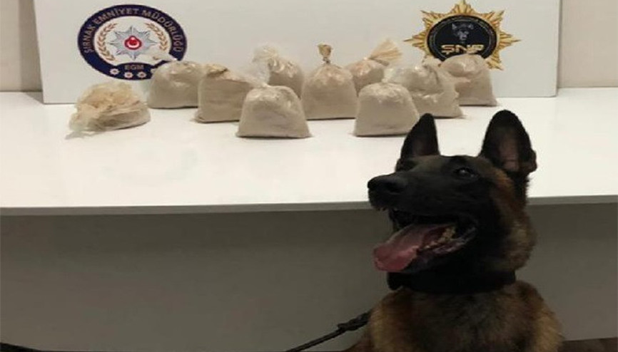 Şırnaktaki kaçakçılık operasyonlarında 8 tutuklama