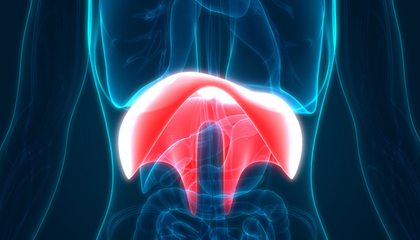 Diyafram yüksekliği nedir Belirtileri ve tedavi şekilleri