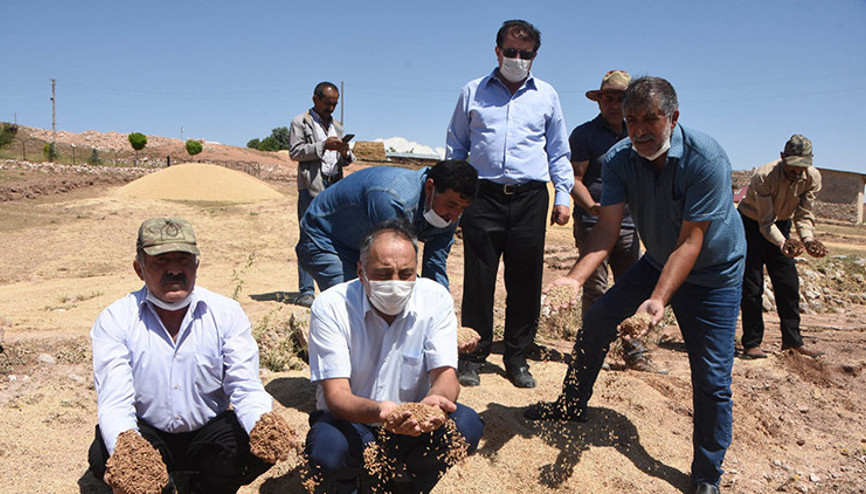 Bir hafta arayla iki kez dolunun vurduğu köyde, mahsulü sel götürdü