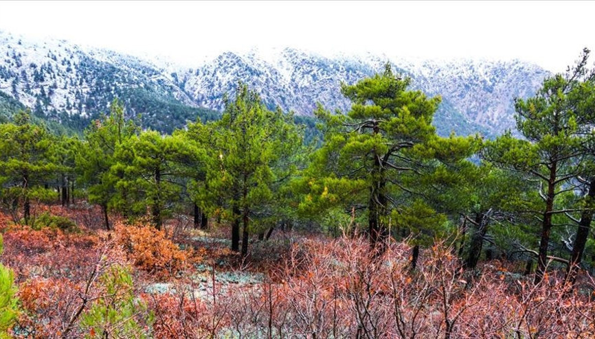 Amanoslar nerede Amanos (Nur) Dağları’nın konumu