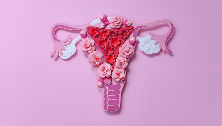 Genital Estetik Kimlere Yapılabilir