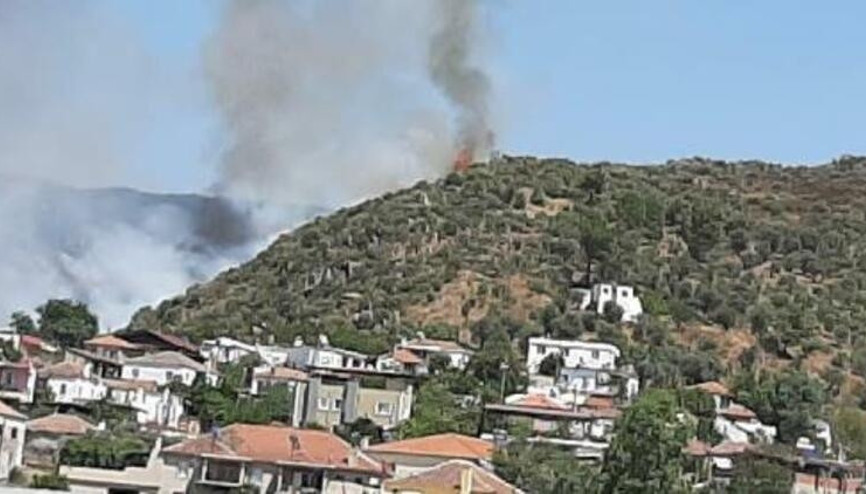 Son dakika haberi... Muğla Milasta yerleşim yerleri yakınında orman yangını
