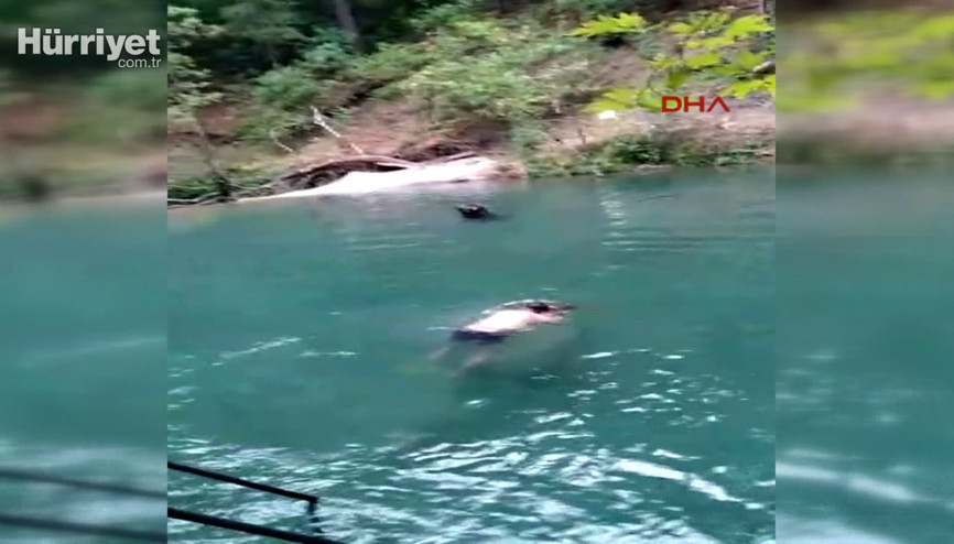 Alanyada doğal havuza atladı, ölümden döndü